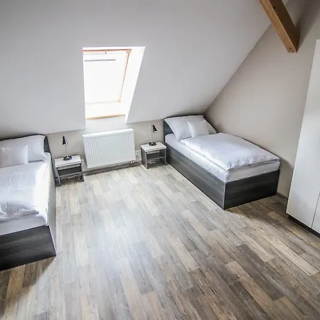 Guest house Viktorin 3*