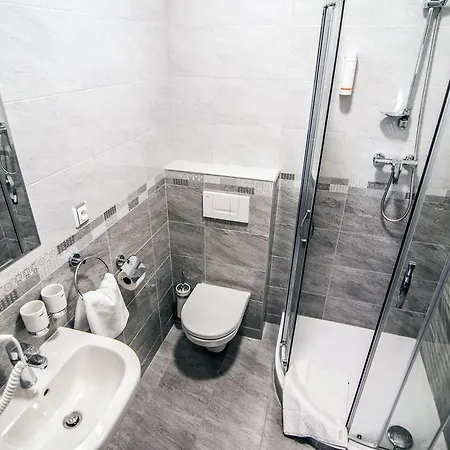 Guest house Viktorin 3*