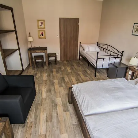Viktorin Guest house 2*