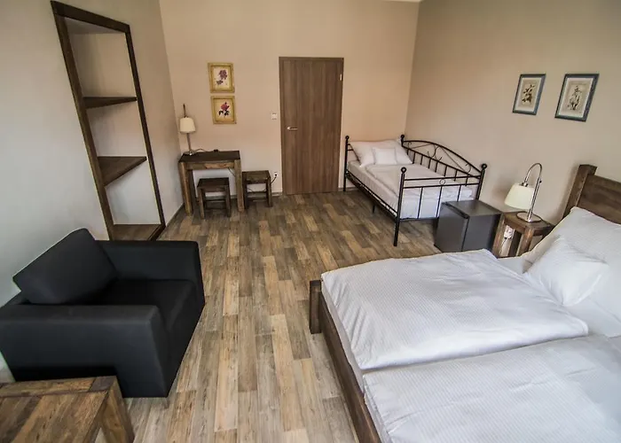 Viktorin Pensión 3*